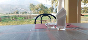 AZIENDA AGRITURISTICA LA VECCHIA QUERCIA Arpino